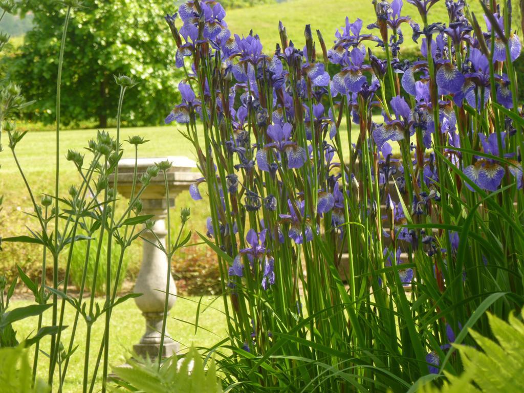Llwyn Helyg Country House Guest House Carmarthen Luaran gambar
